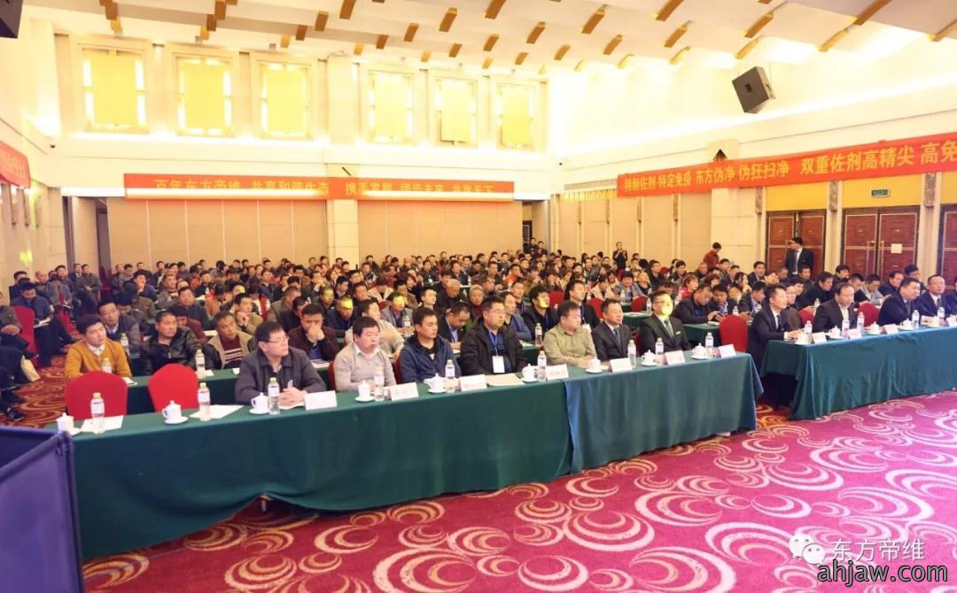 泰山论道 福祉东来 东方帝维事业合伙人峰会暨东方福上市发布会（泰山站）