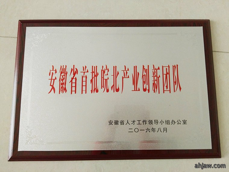 首批皖北产业创新团队 东方帝维榜上有名
