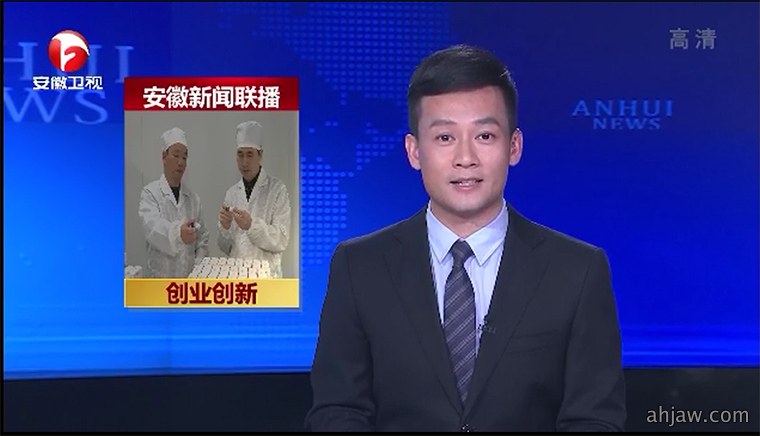 东方帝维质量总监肖华春接受安徽电视台采访