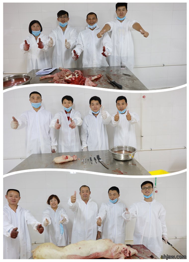 祝贺东方帝维健康养殖技术学院第四期培训班圆满成功！