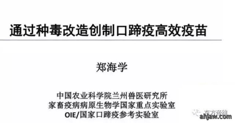 连载：东方帝维直播曹曼大会，干货都在这里！！！