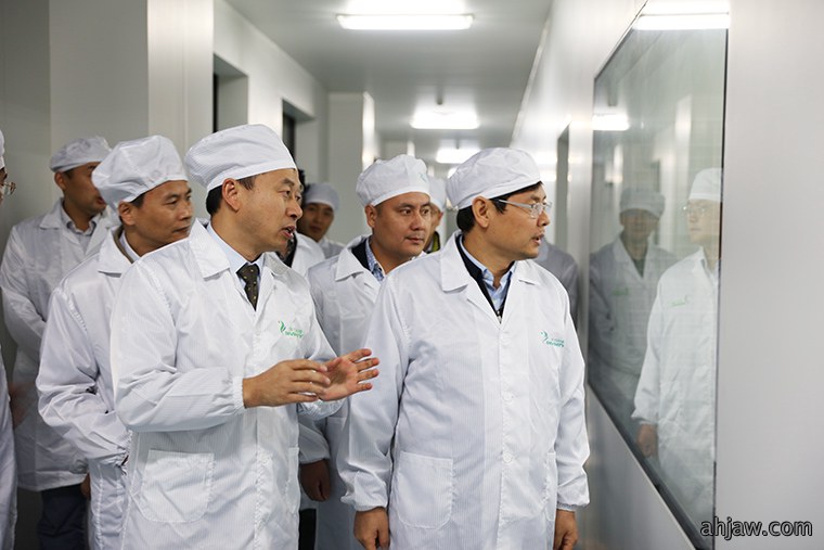 东方帝维荣获安徽省“三重一创”项目支持