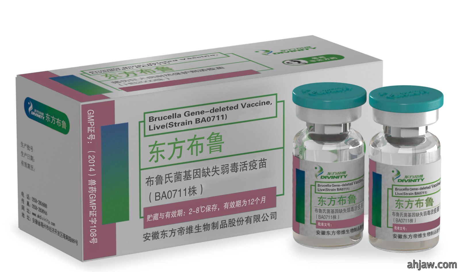 东方布鲁