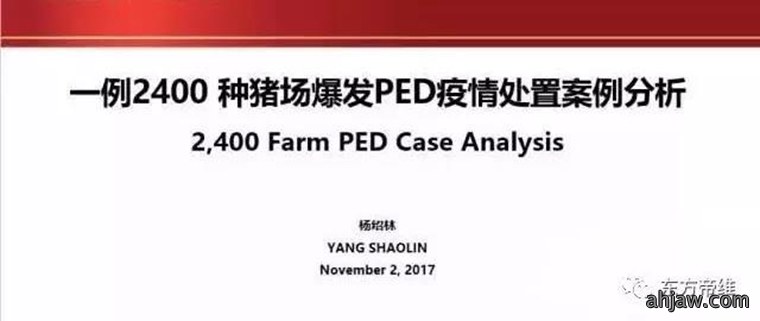 东方帝维直播曹曼大会，干货都在这里！！！