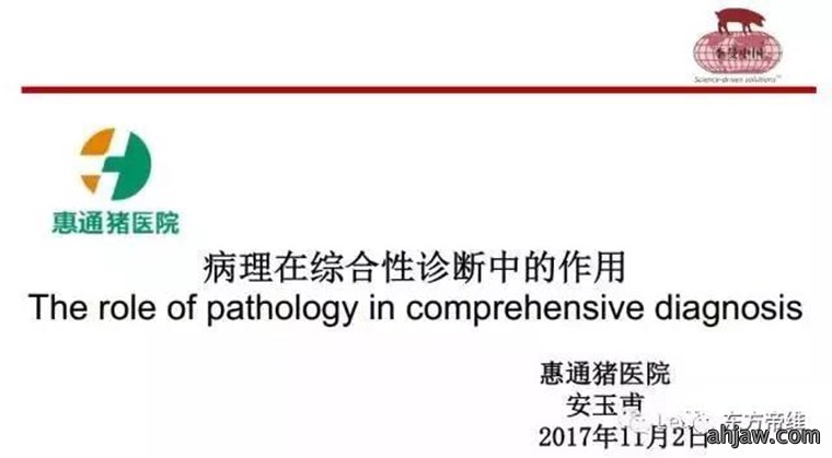 东方帝维直播曹曼大会，干货都在这里！！！