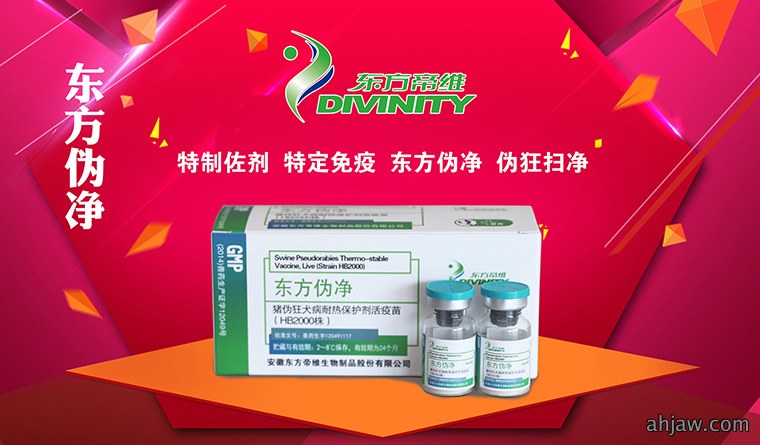 万头猪场老板和市县服务商云集，东方帝维事业合伙人招募如火如荼！