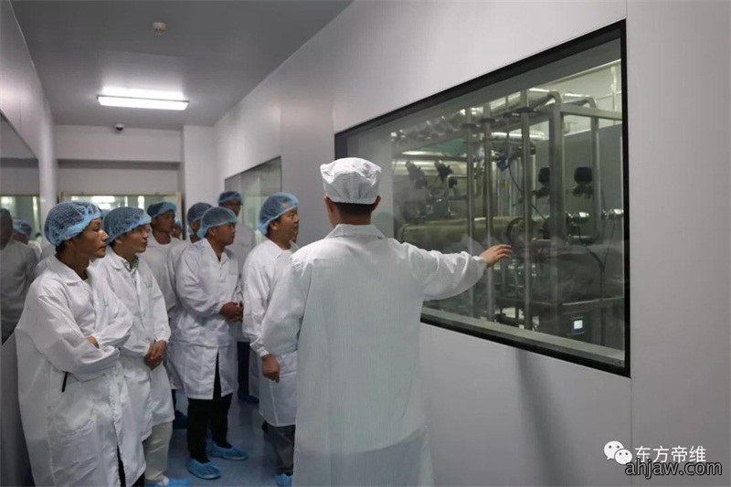 相约亳州论道 · 相聚东方帝维——湖北规模化猪场东方帝维体验之旅