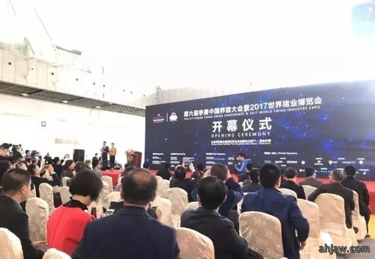 东方帝维直播曹曼大会，干货都在这里！！！