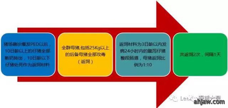 东方帝维直播曹曼大会，干货都在这里！！！