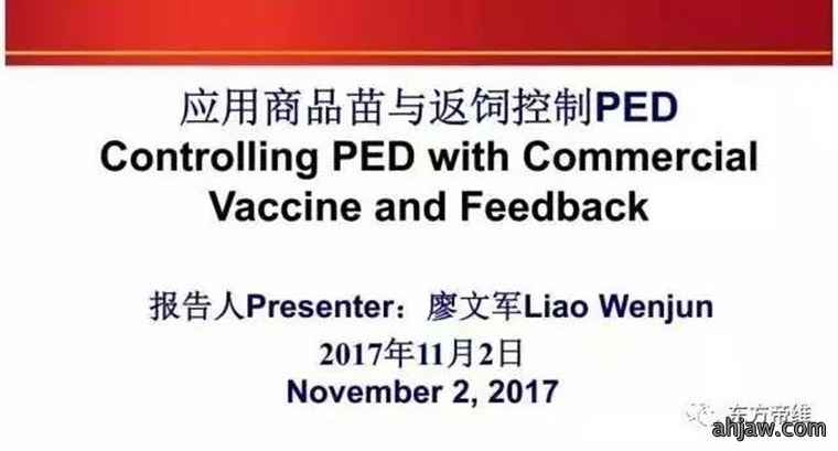 东方帝维直播曹曼大会，干货都在这里！！！