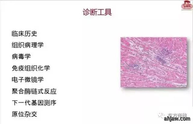 连载：东方帝维直播曹曼大会，干货都在这里！！！