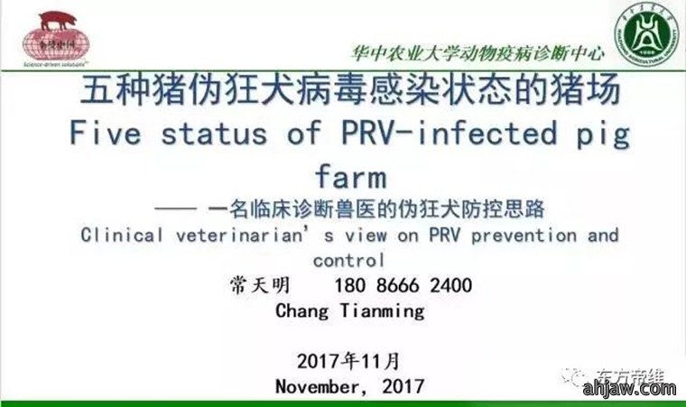 东方帝维直播曹曼大会，干货都在这里！！！
