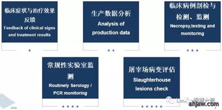 东方帝维直播曹曼大会，干货都在这里！！！