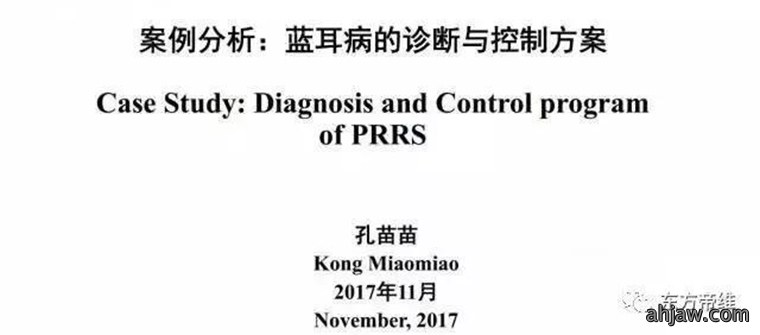 东方帝维直播曹曼大会，干货都在这里！！！