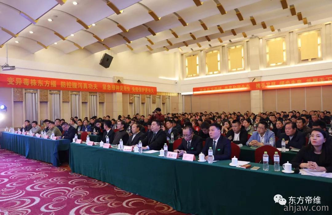 泰山论道 福祉东来 东方帝维事业合伙人峰会暨东方福上市发布会（泰山站）
