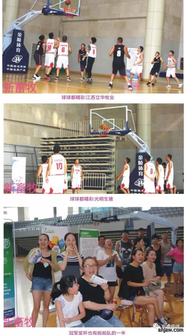 猪业新雄风 赛场竞风流——“东方帝维杯”首届江苏集团客户篮球友谊赛