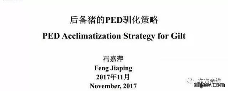东方帝维直播曹曼大会，干货都在这里！！！