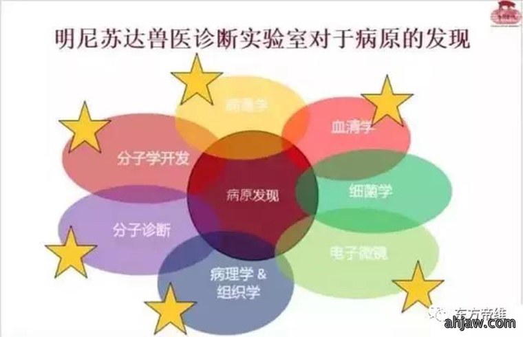 连载：东方帝维直播曹曼大会，干货都在这里！！！