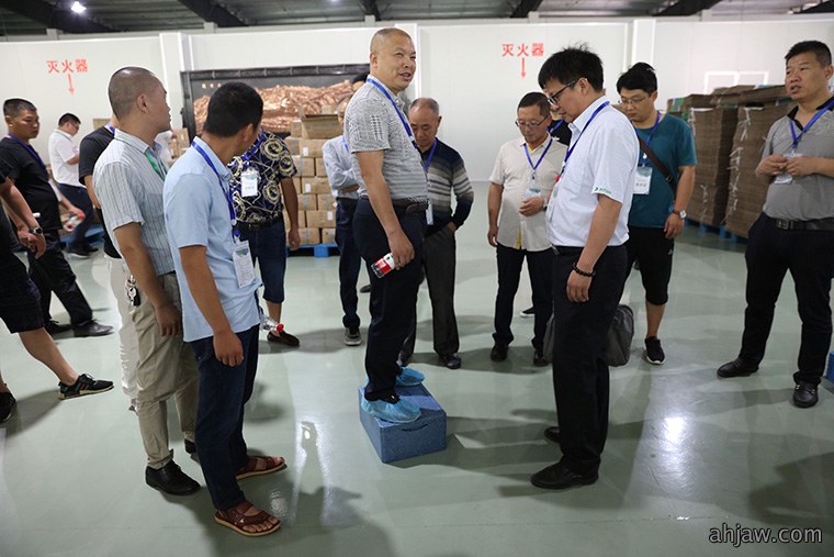 东方帝维健康养猪曹峰论坛暨事业合伙人招募会