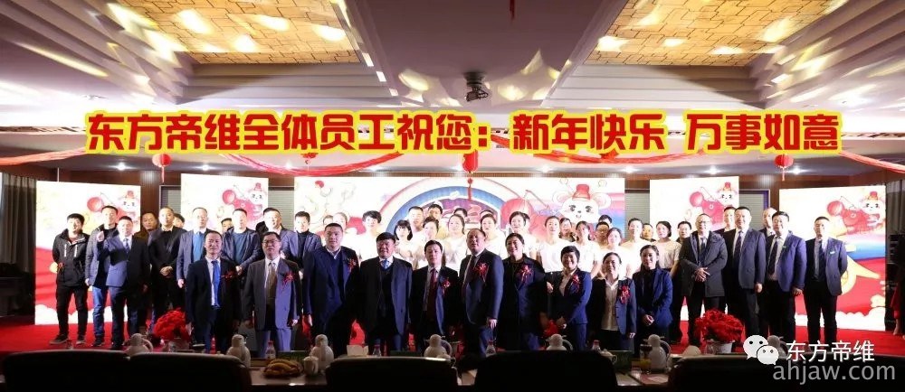 十年风雨铸辉煌 不忘初心创未来 东方帝维喜迎新春