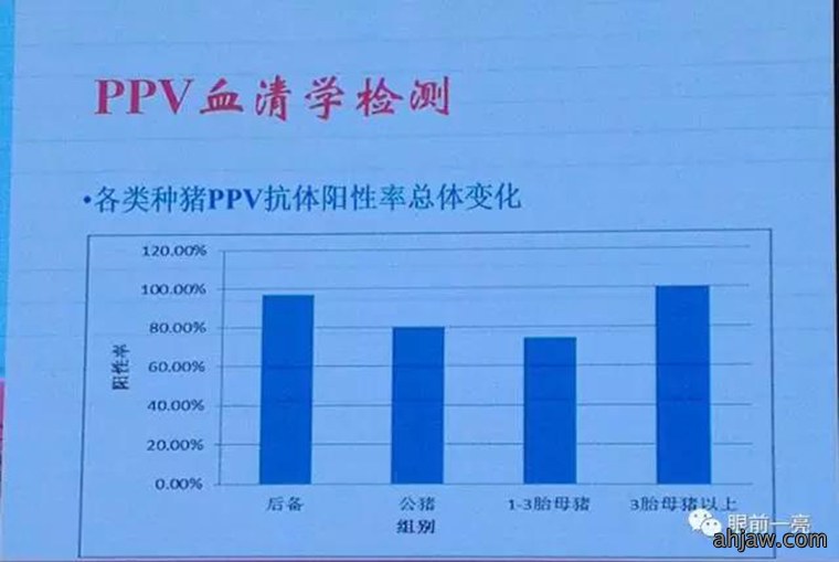 连载：东方帝维直播曹曼大会，干货都在这里！！！
