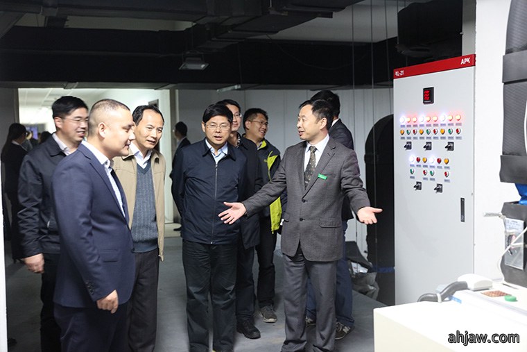 东方帝维荣获安徽省“三重一创”项目支持