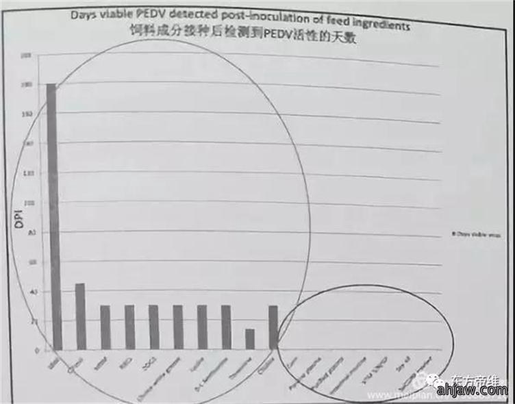 干货!「曹曼大会」猪流行性腹泻报告云集