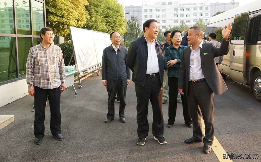 安徽省副省长梁卫国一行莅临公司参观指导