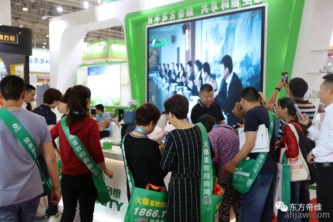 东方帝维闪亮2019畜博会