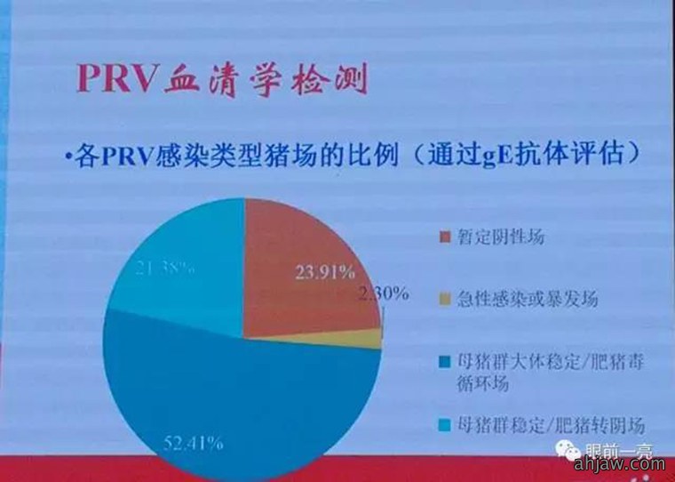 连载：东方帝维直播曹曼大会，干货都在这里！！！