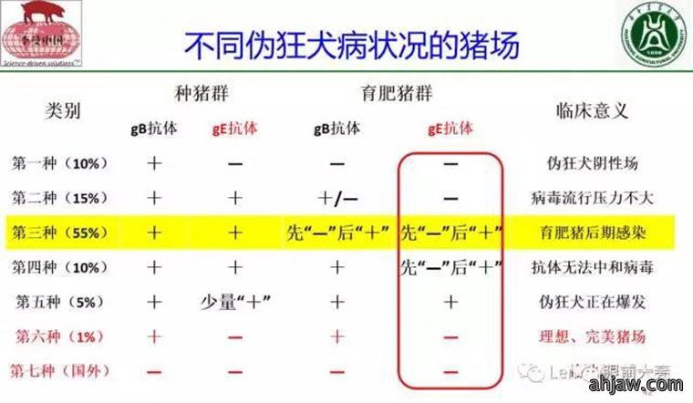 东方帝维直播曹曼大会，干货都在这里！！！