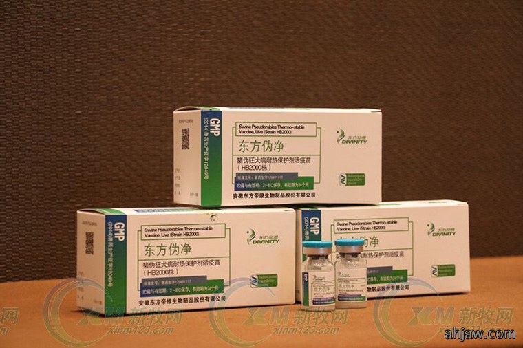 为了免疫净化和生产成绩，你做好淘汰猪的准备了么？