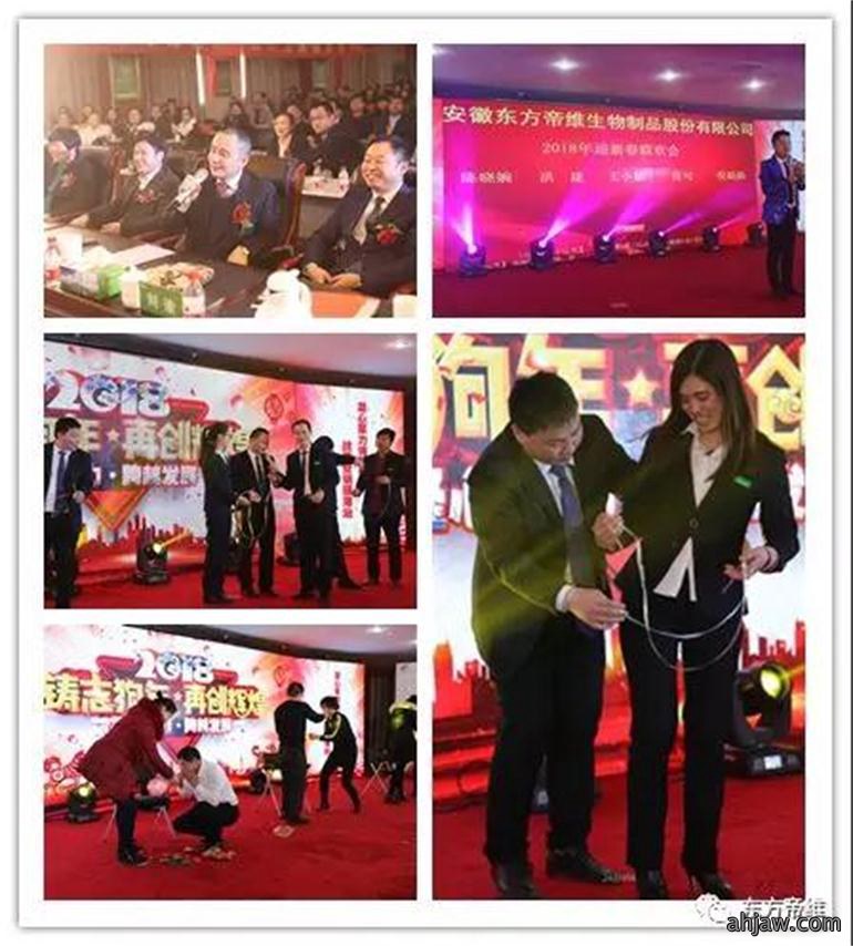 凝心聚力 跨越发展 | 东方帝维2018新春年会报道