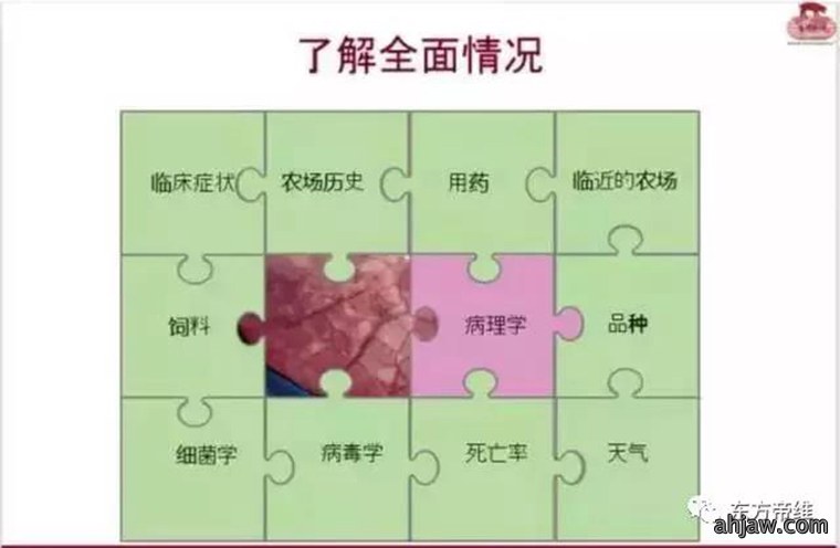 连载：东方帝维直播曹曼大会，干货都在这里！！！