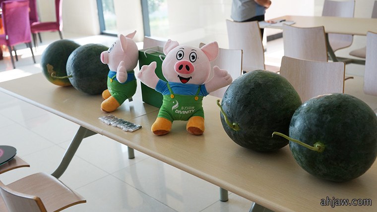 纵享夏日清凉，瓜王谁与争锋—— 东方帝维西瓜大赛圆满结束