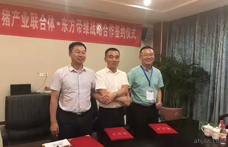 潜龙飞天——安徽生猪产业联合体采购联盟走进东方帝维成功启动并签订战略合作协议！