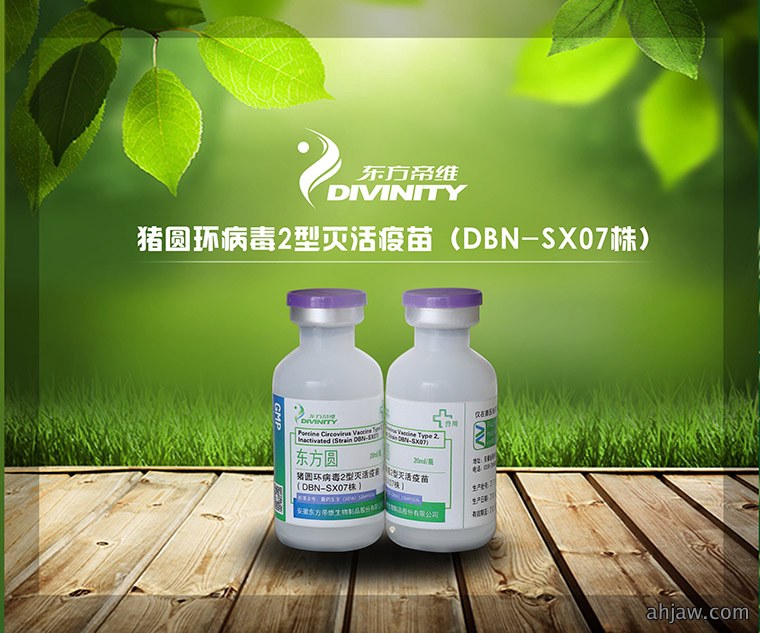 “桃曹不言 下自成蹊”—— 东方帝维成果斐然 参观者络绎不绝！