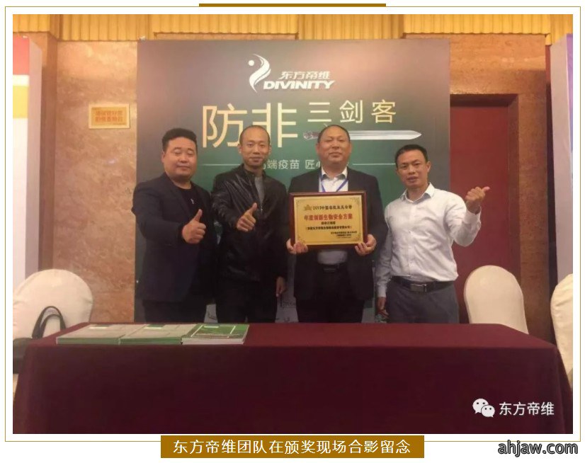 向“阳”生长，“帝”星闪耀！