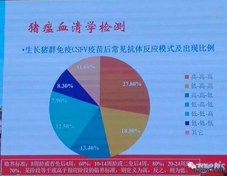 连载：东方帝维直播曹曼大会，干货都在这里！！！