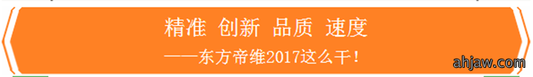 、创新、品质、速度——东方帝维2017这么干！