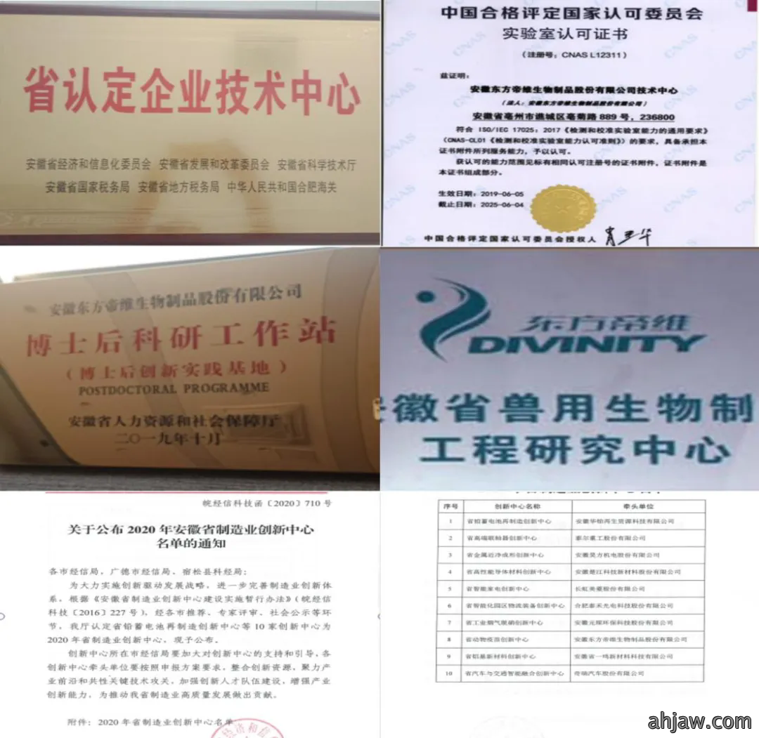 640.webp (2).png