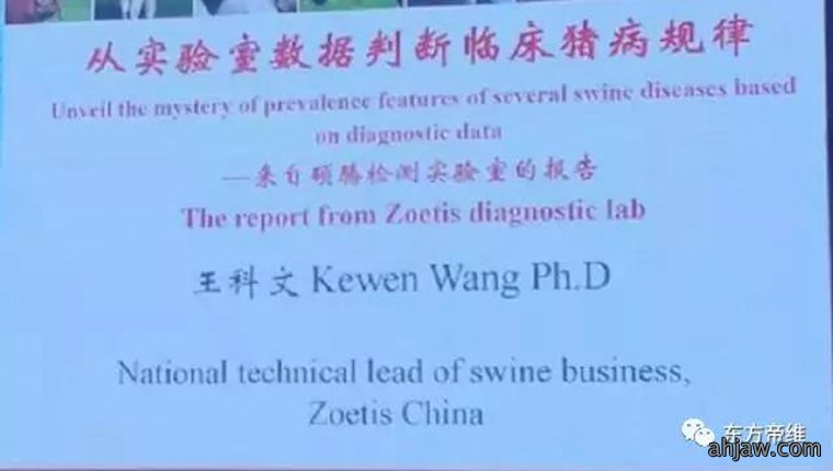 连载：东方帝维直播曹曼大会，干货都在这里！！！