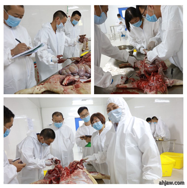 祝贺东方帝维健康养殖技术学院第四期培训班圆满成功！