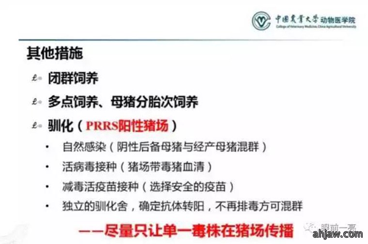 连载：东方帝维直播曹曼大会，干货都在这里！！！