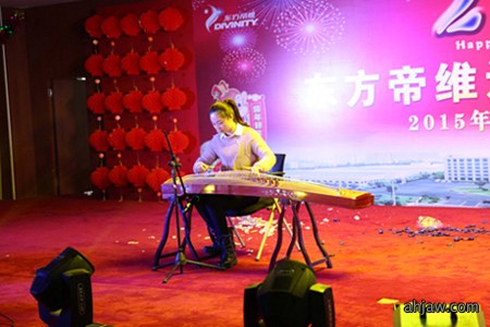 东方帝维2016迎新春晚会及2015年终总结表彰大会